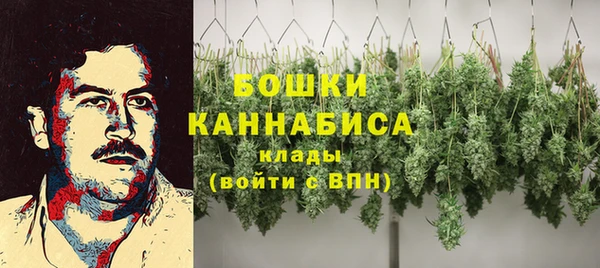 твердый Белокуриха