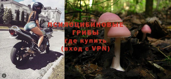 тгк Снежинск