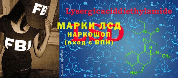 тгк Снежинск