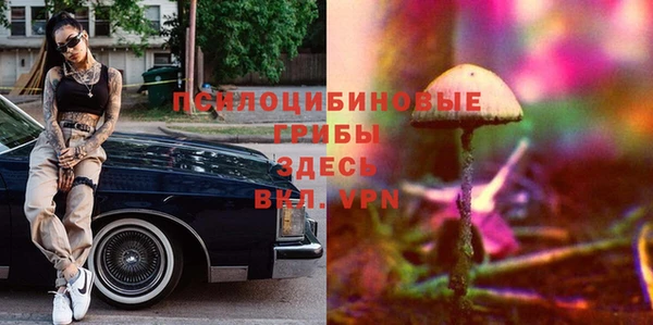 амф Беломорск