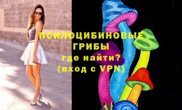 крисы Снежногорск