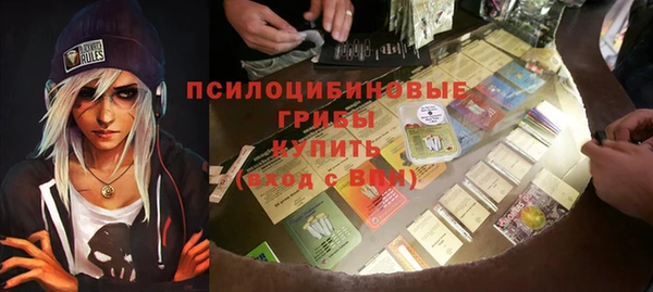 гашик Белоозёрский
