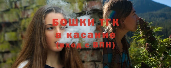 твердый Белокуриха