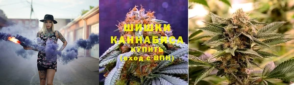 гашик Белоозёрский